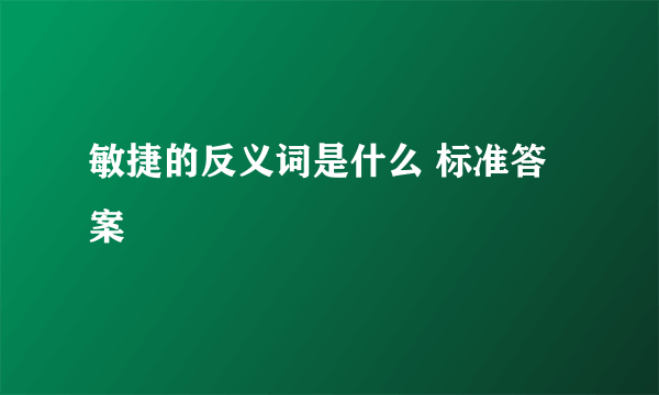 敏捷的反义词是什么 标准答案