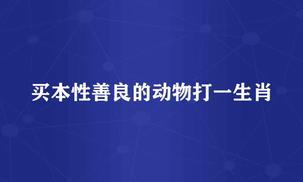 买本性善良的动物打一生肖