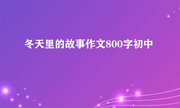 冬天里的故事作文800字初中