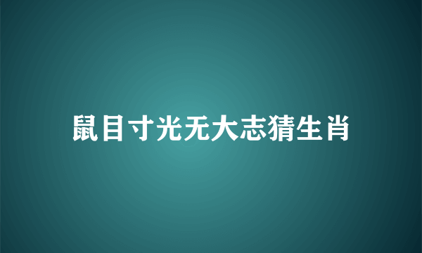 鼠目寸光无大志猜生肖