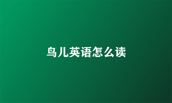 鸟儿英语怎么读