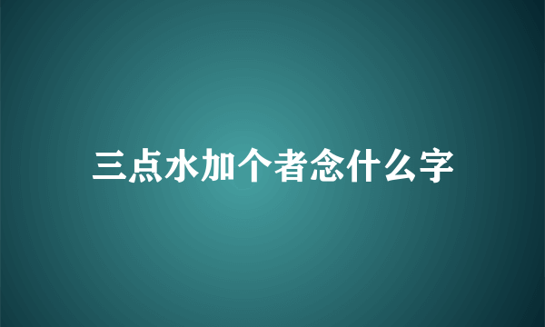 三点水加个者念什么字
