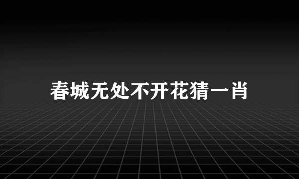 春城无处不开花猜一肖