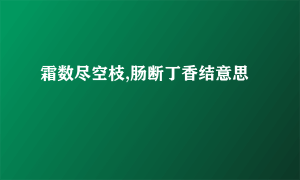 霜数尽空枝,肠断丁香结意思
