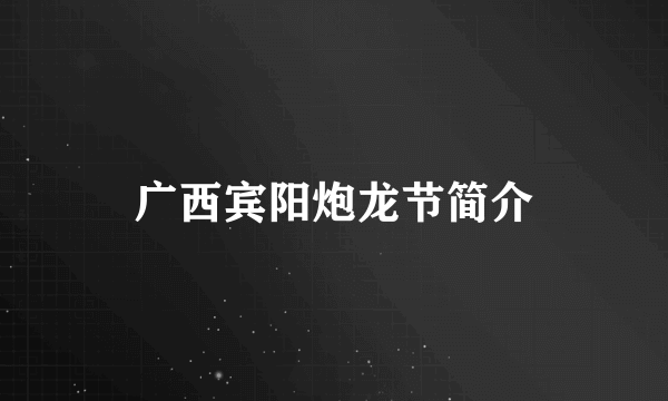 广西宾阳炮龙节简介