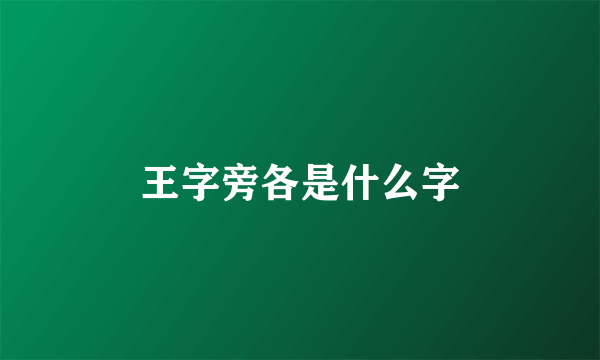 王字旁各是什么字