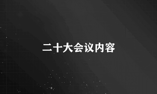 二十大会议内容