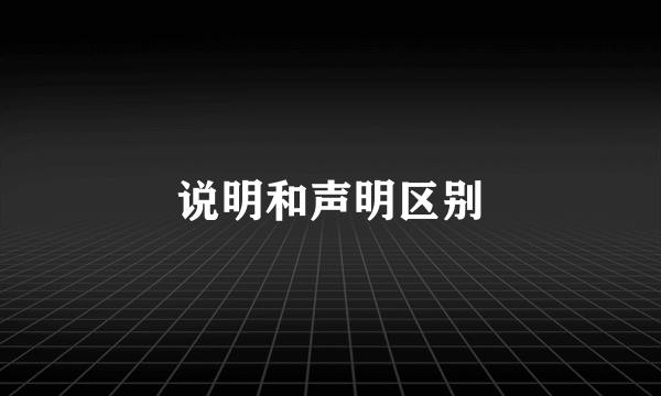 说明和声明区别
