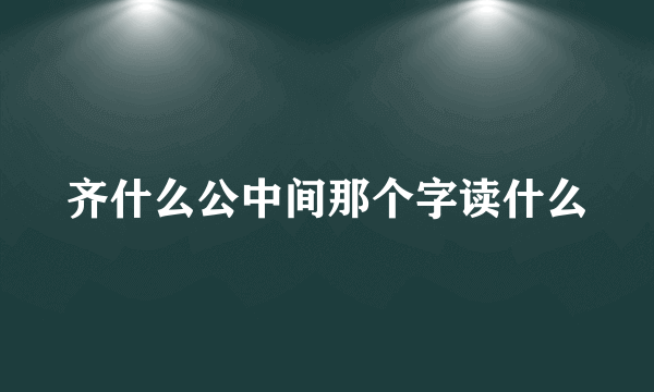 齐什么公中间那个字读什么