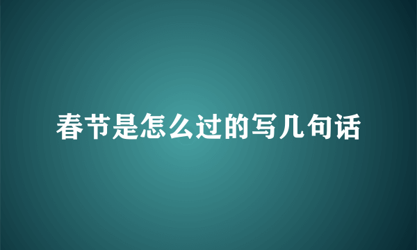 春节是怎么过的写几句话