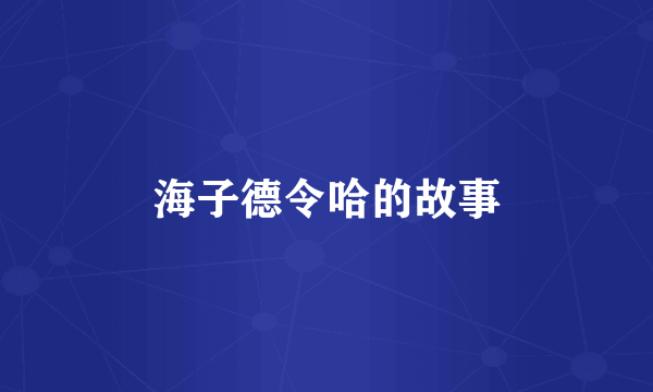 海子德令哈的故事