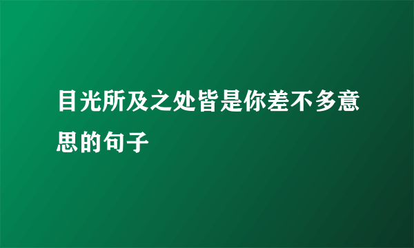 目光所及之处皆是你差不多意思的句子