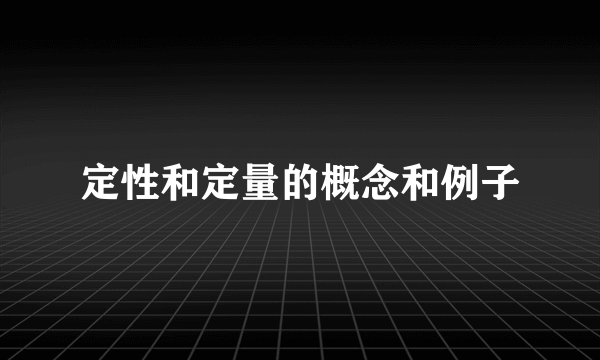 定性和定量的概念和例子