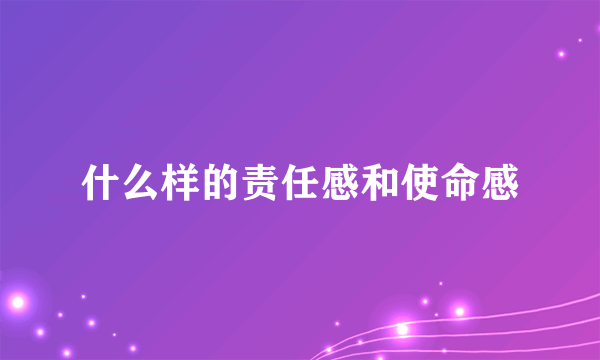 什么样的责任感和使命感