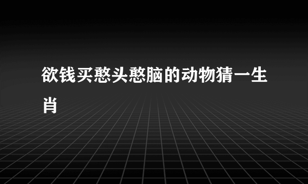 欲钱买憨头憨脑的动物猜一生肖