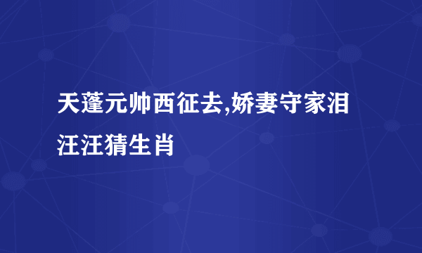 天蓬元帅西征去,娇妻守家泪汪汪猜生肖