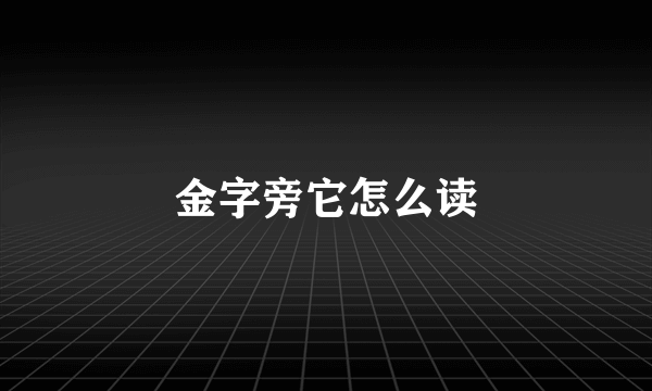 金字旁它怎么读