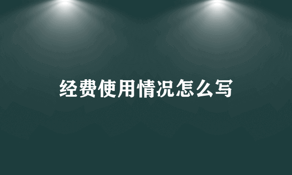 经费使用情况怎么写
