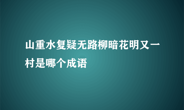 山重水复疑无路柳暗花明又一村是哪个成语
