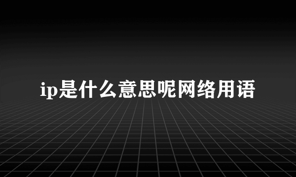 ip是什么意思呢网络用语