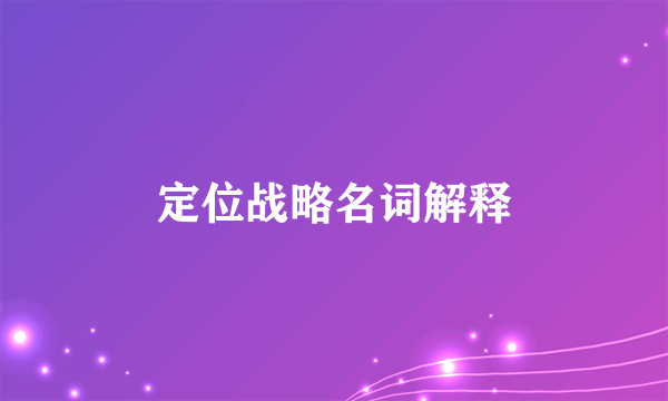 定位战略名词解释