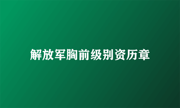 解放军胸前级别资历章