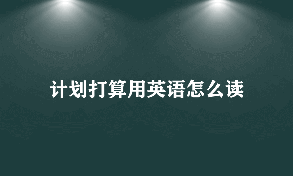 计划打算用英语怎么读