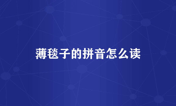 薄毯子的拼音怎么读