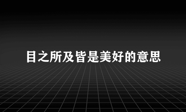目之所及皆是美好的意思