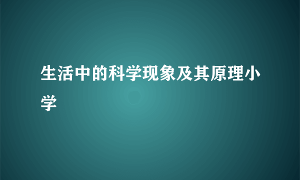 生活中的科学现象及其原理小学