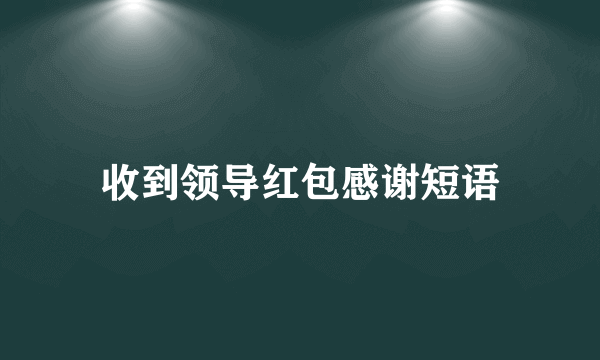 收到领导红包感谢短语