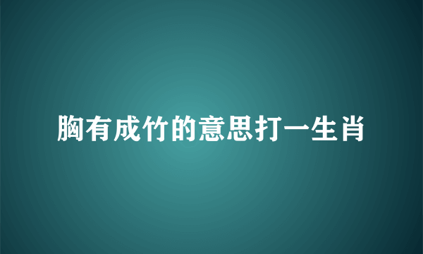 胸有成竹的意思打一生肖