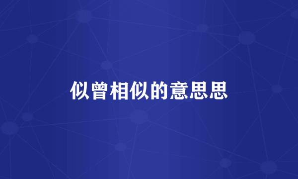 似曾相似的意思思