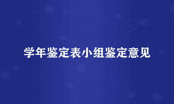 学年鉴定表小组鉴定意见