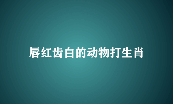 唇红齿白的动物打生肖