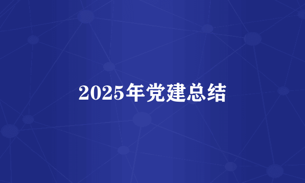 2025年党建总结