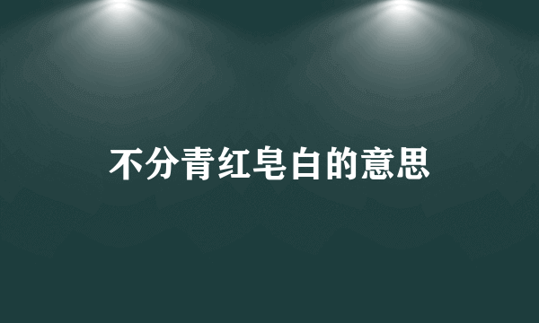 不分青红皂白的意思