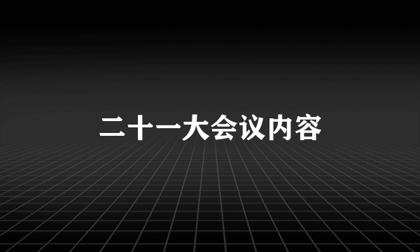 二十一大会议内容