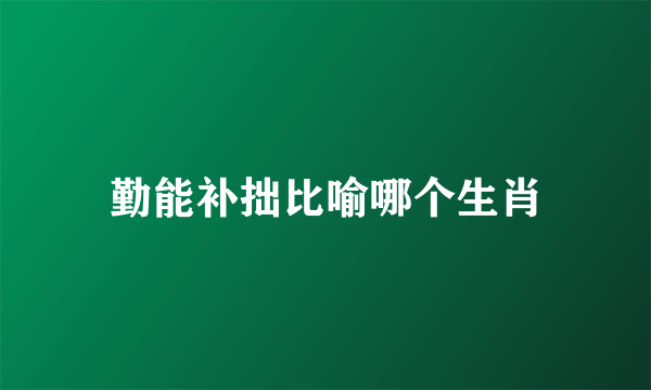 勤能补拙比喻哪个生肖