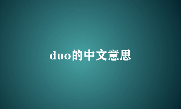 duo的中文意思