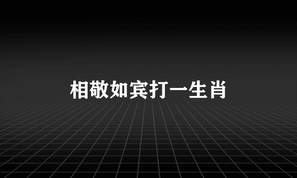 相敬如宾打一生肖