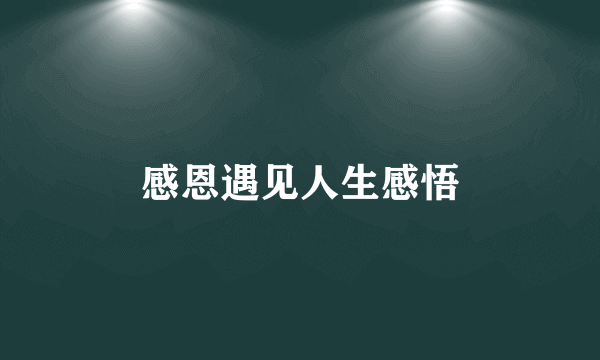 感恩遇见人生感悟