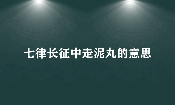 七律长征中走泥丸的意思