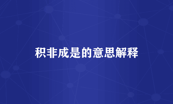 积非成是的意思解释