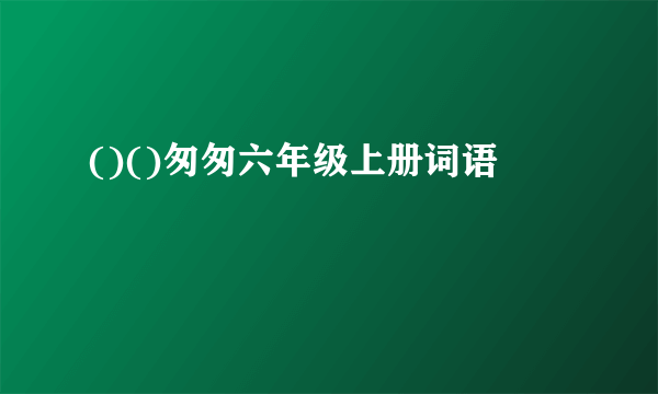 ()()匆匆六年级上册词语