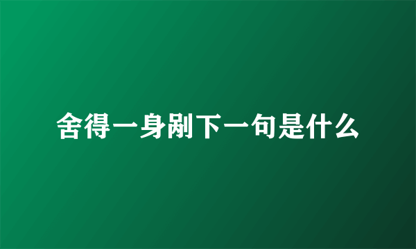 舍得一身剐下一句是什么
