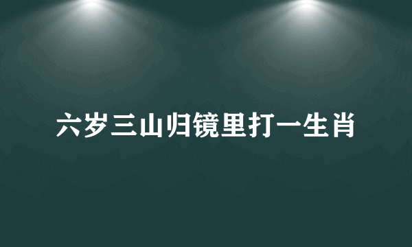 六岁三山归镜里打一生肖