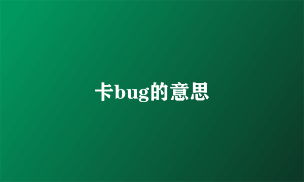 卡bug的意思