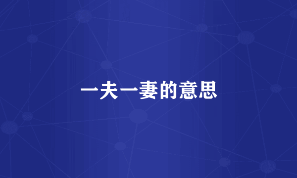 一夫一妻的意思