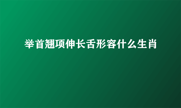 举首翘项伸长舌形容什么生肖